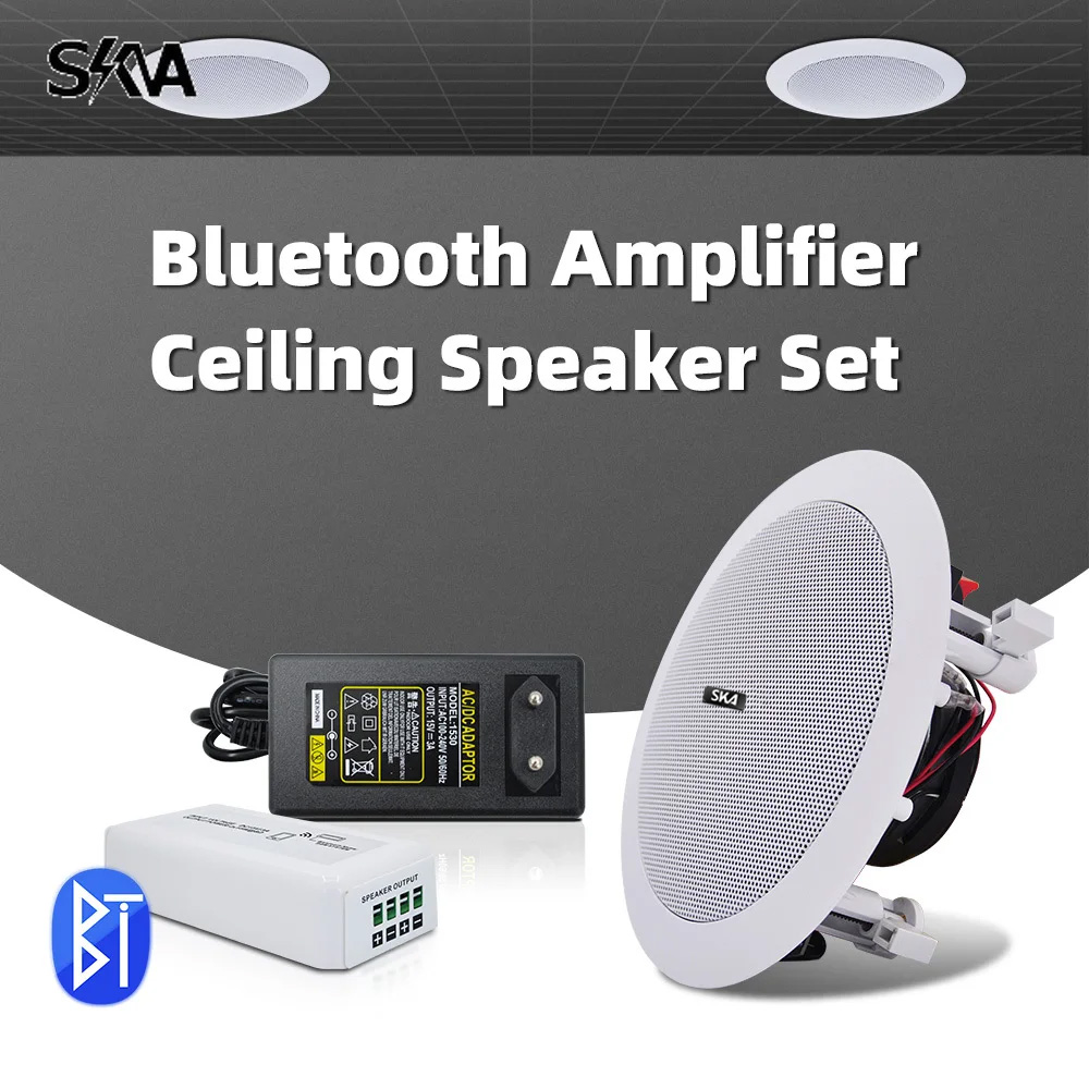 Bluetooth Amplifier Portable M - огляд і ціна Portable Amplifier Mini