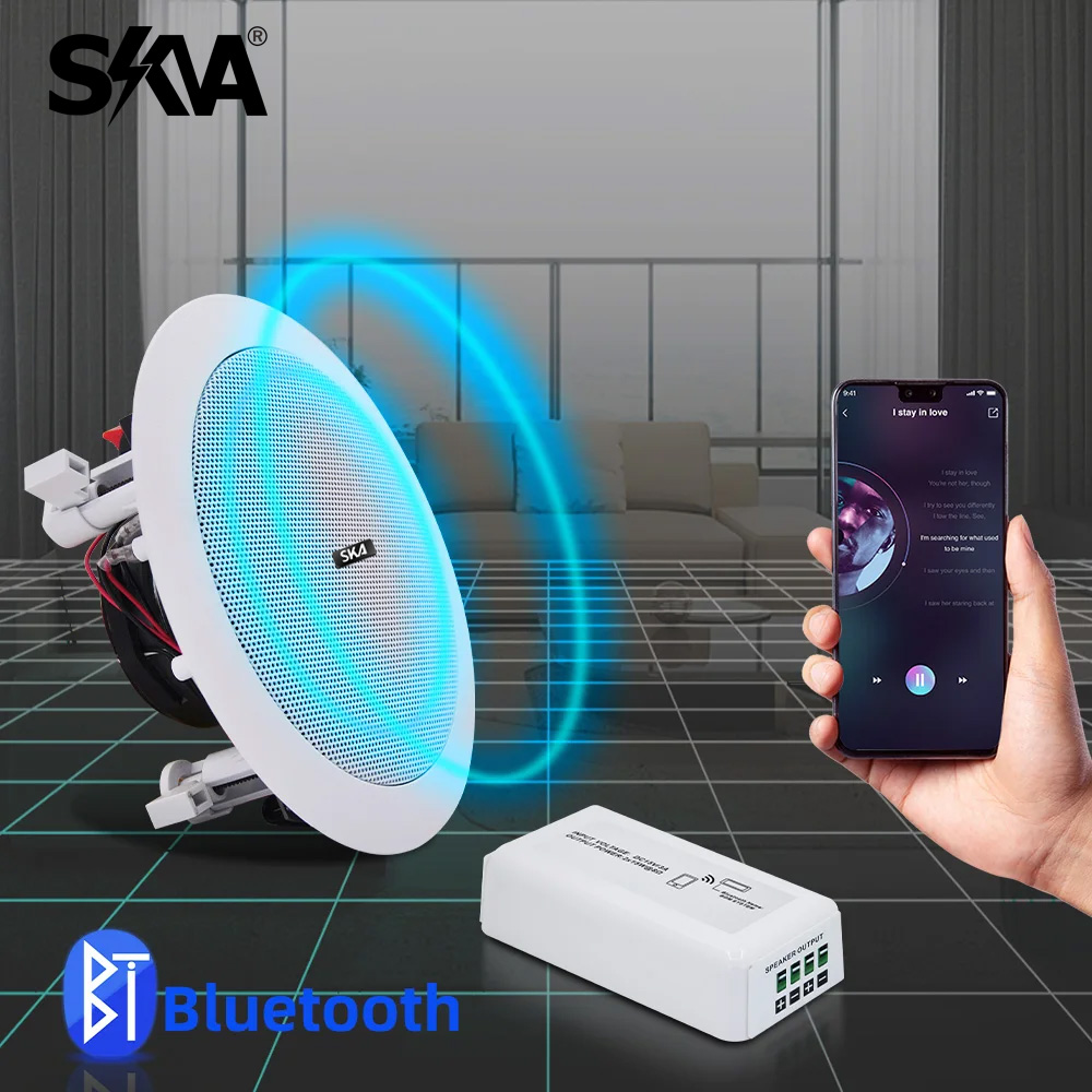 Bluetooth Amplifier Portable M - огляд і ціна Portable Amplifier Mini