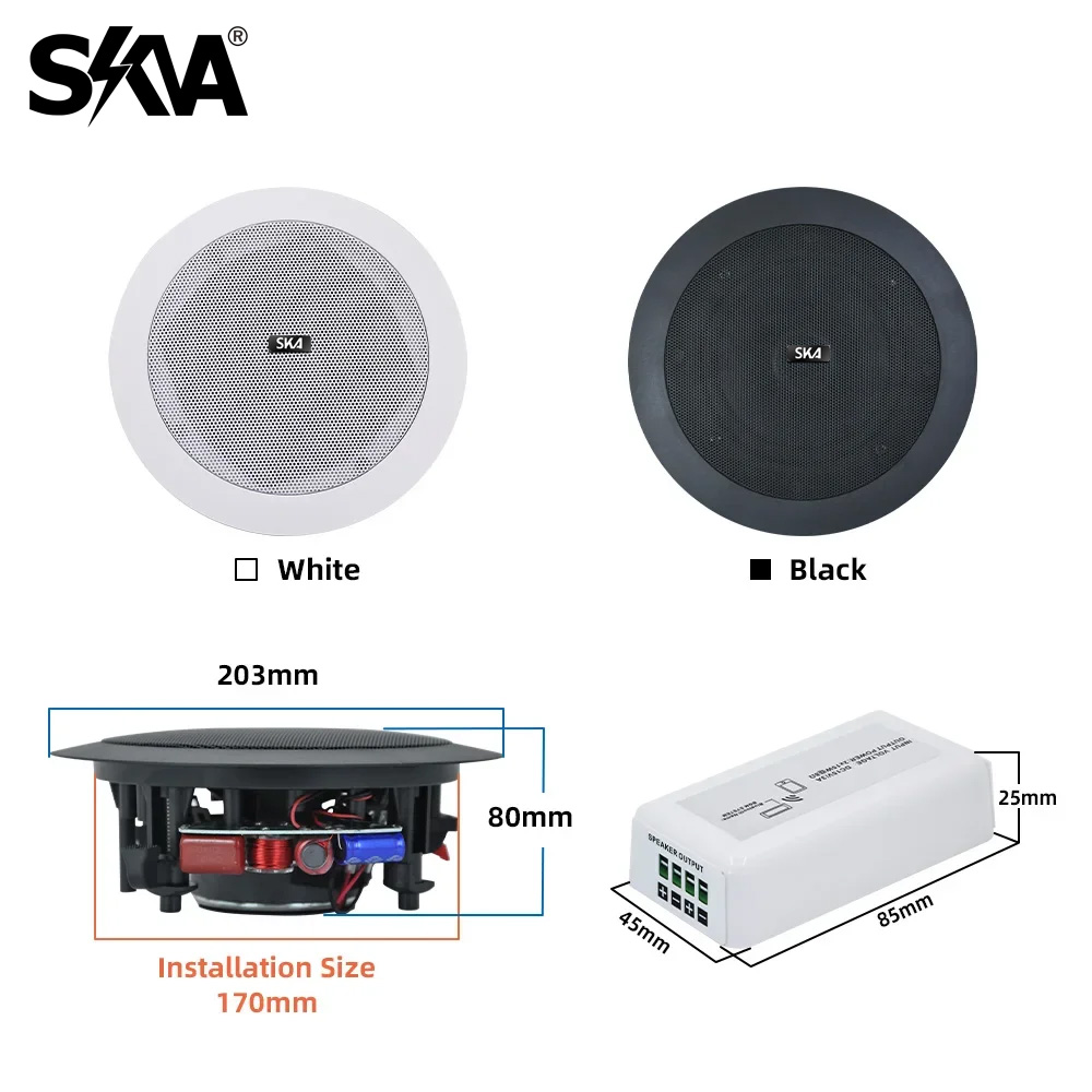 Bluetooth Amplifier Portable M - огляд і ціна Portable Amplifier Mini